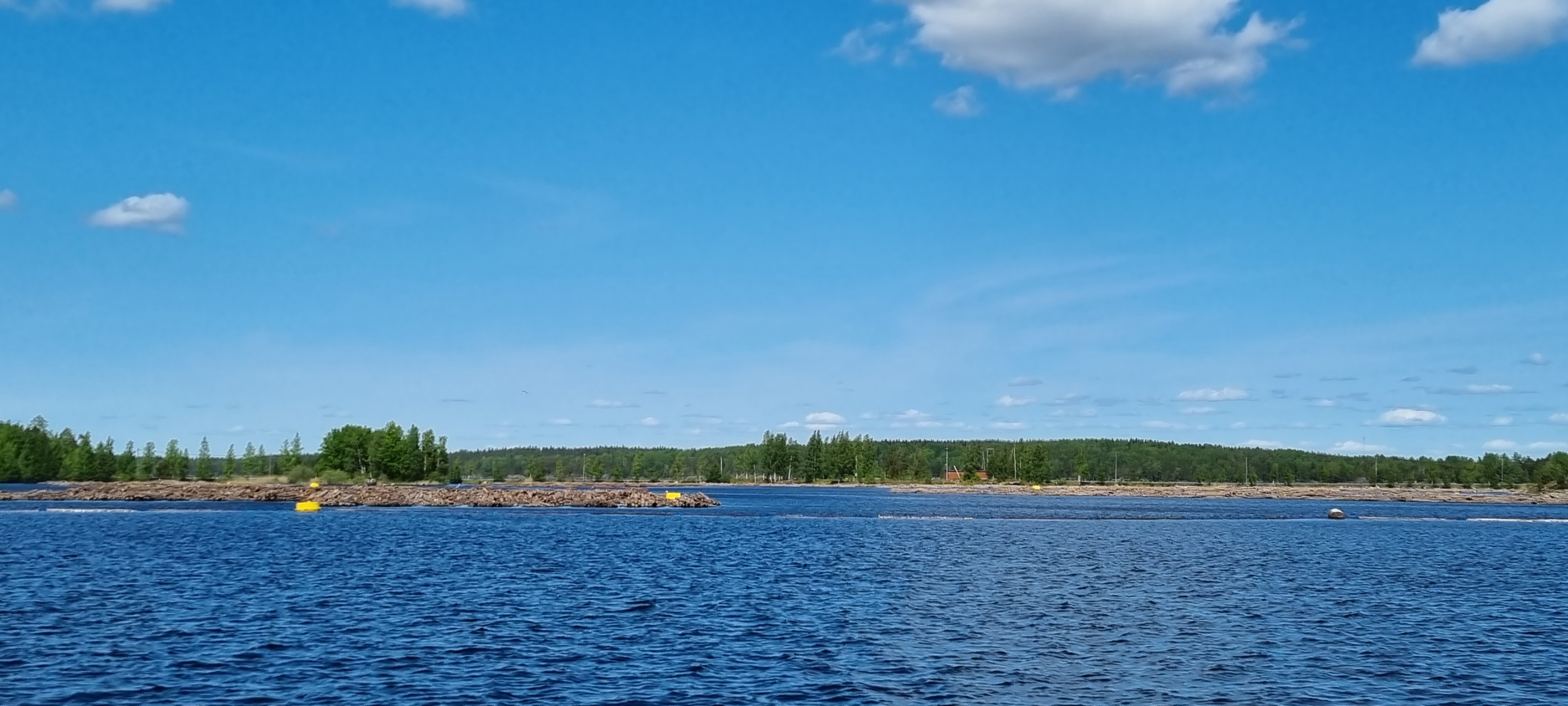 Saimaan sisäisen liikenteen kehittäminen hyödyttää kaikkia alueen satamia, varustamoita ja uittoyrityksiä