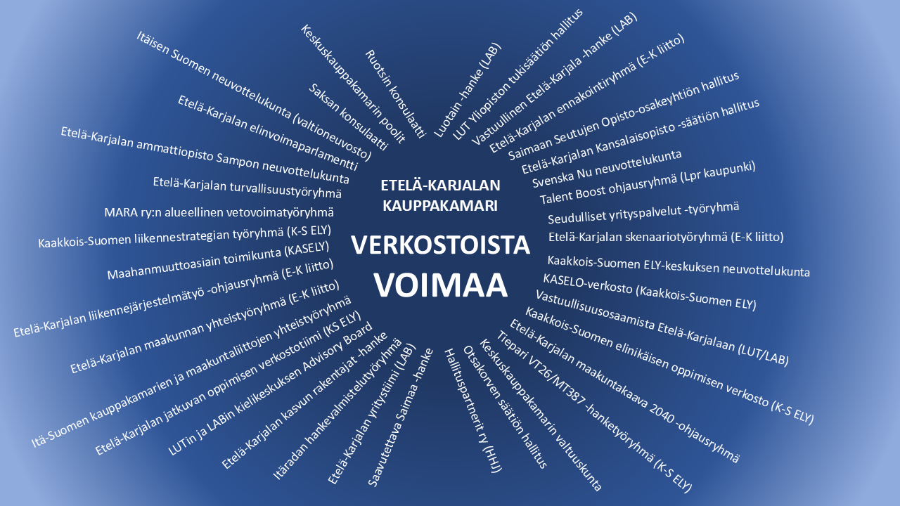 verkostosta voimaa